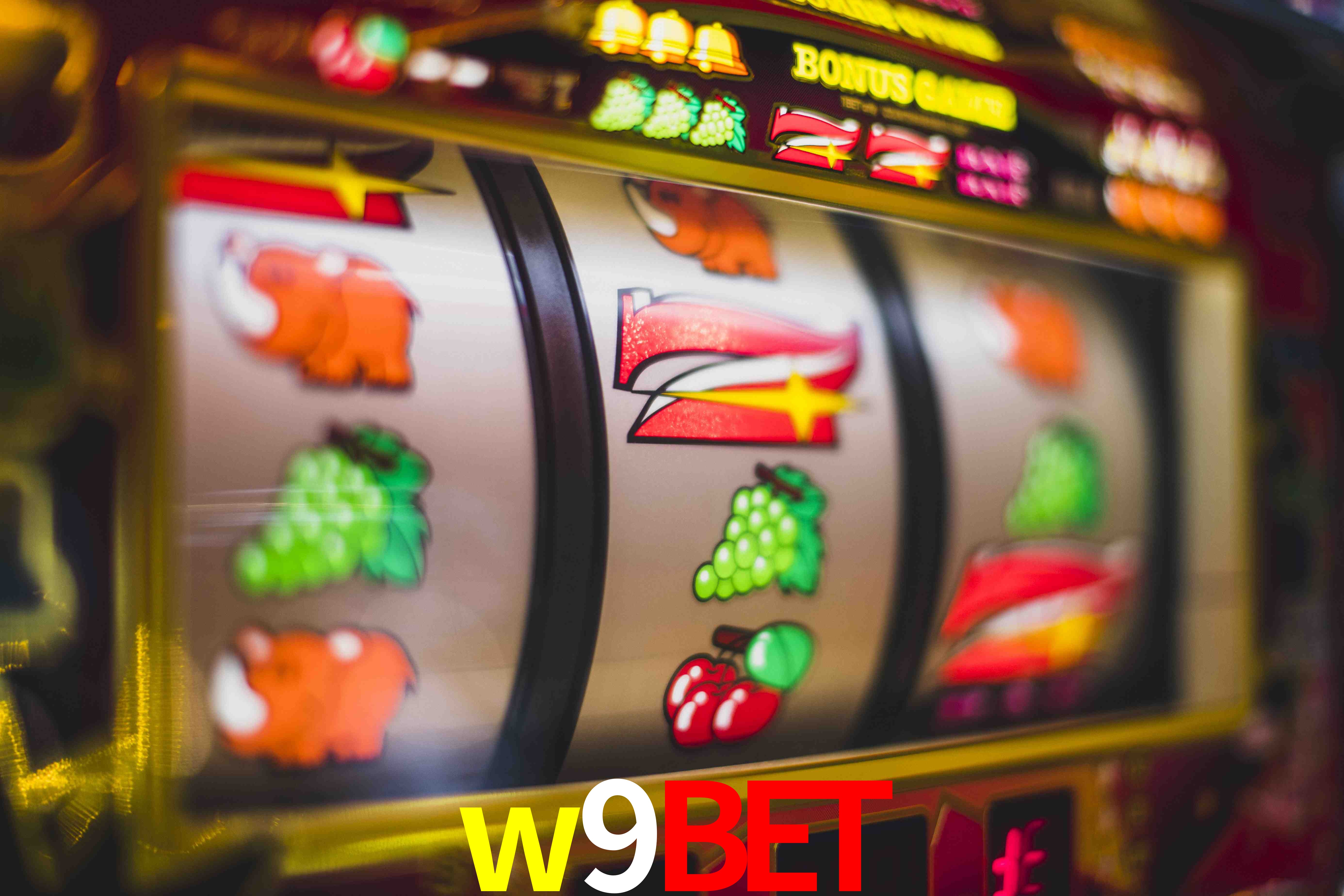 Statistics w9bet